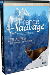 dvd bourgogne