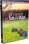 dvd bourgogne