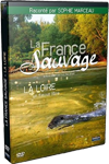 dvd bourgogne