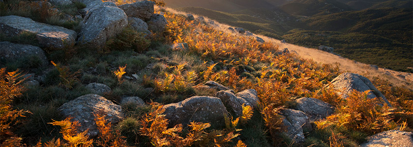 parc mercantour 00