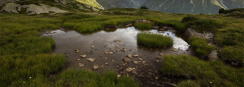 parc mercantour 00
