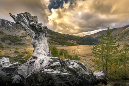 parc mercantour 01