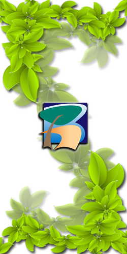 sidebar_deco.png