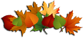 video footer